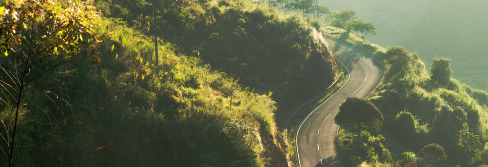Immediate solutions to pollution in large cities
