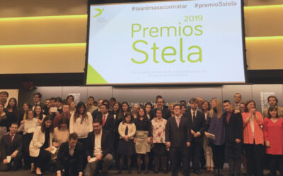 Dealerbest es reconocido en los premios Stela gracias a la diversidad de su equipo